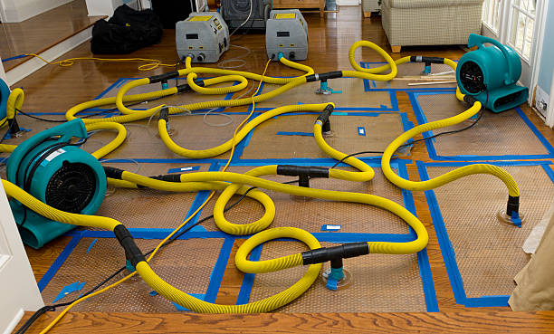 Professional Water Extraction technician working in Newbury, MA